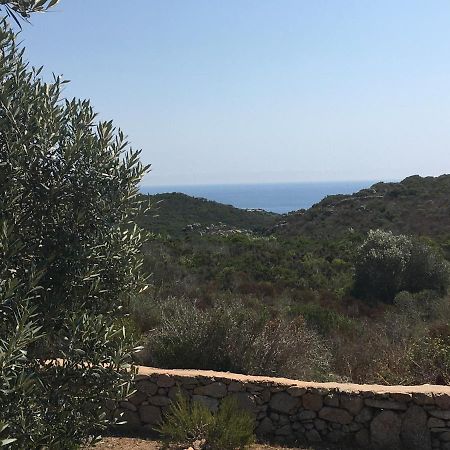 فندق Brise Marine بونيفَسْيو المظهر الخارجي الصورة